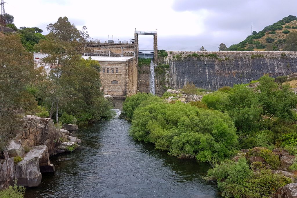 Lince Iberico en Sierra Morena actividades